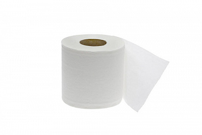 Cleaneq Туалетная бумага 2-ТБ100 (2 слоя, d=13,5 см, 100 м) купить в Екатеринбурге