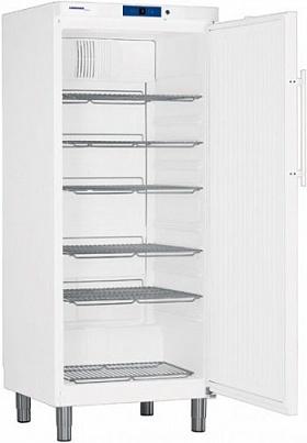 Шкаф холодильный Liebherr GKv 5730 ProfiLine купить в Екатеринбурге