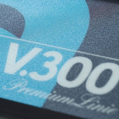 Упаковщик бескамерный Lava V.300 Premium купить в Екатеринбурге